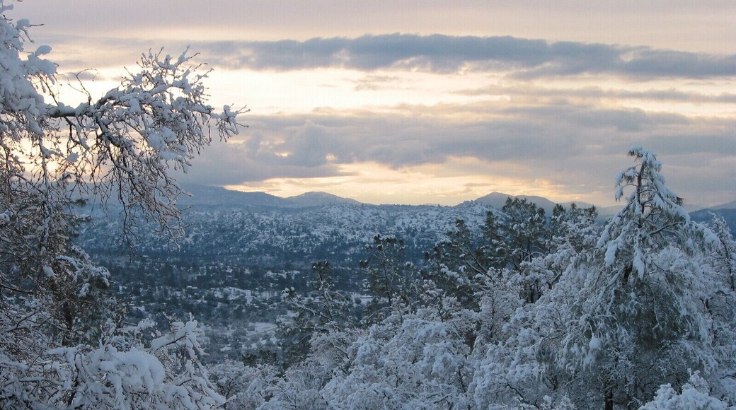 After a winter storm :) #Snow