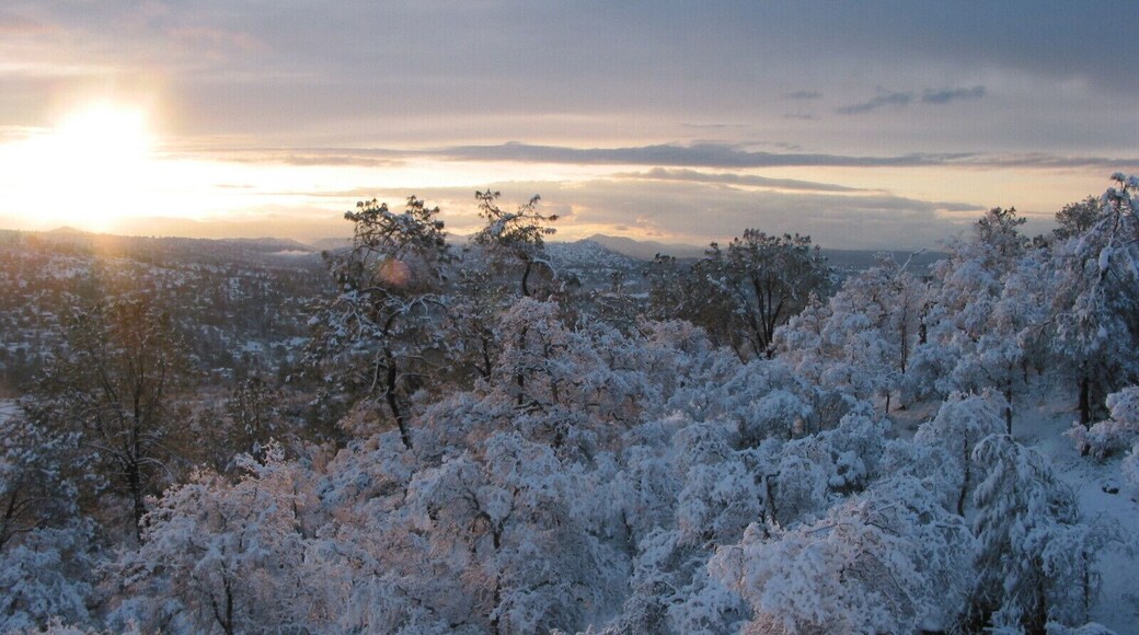 Sunrise upon NEW Fallen Snow :) #Snow