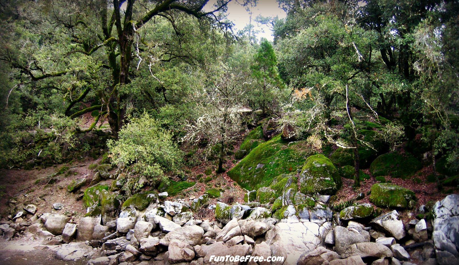 Coarsegold, CA is a nice small town on Hwy 41 from Fresno  heading toward Yosemite National Park.  