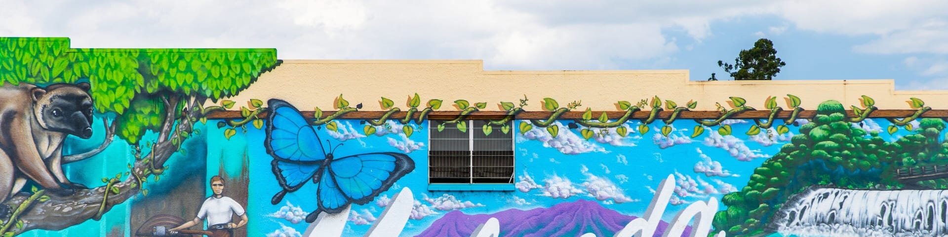 Malanda featuring outdoor art