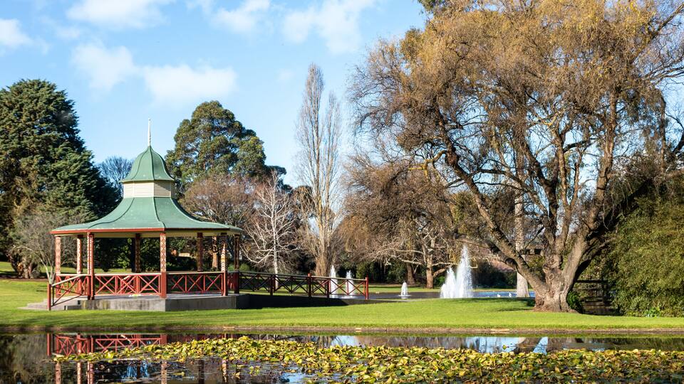 A gazebo, a pond with lily pads, and a large tree.