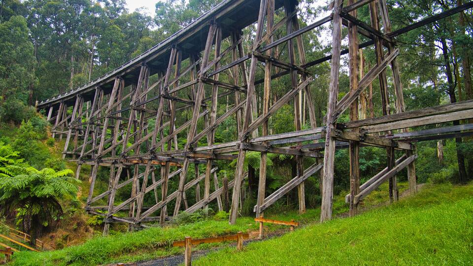 A large wooden bridge in a forested area.