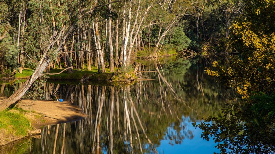 Wangaratta showing wetlands