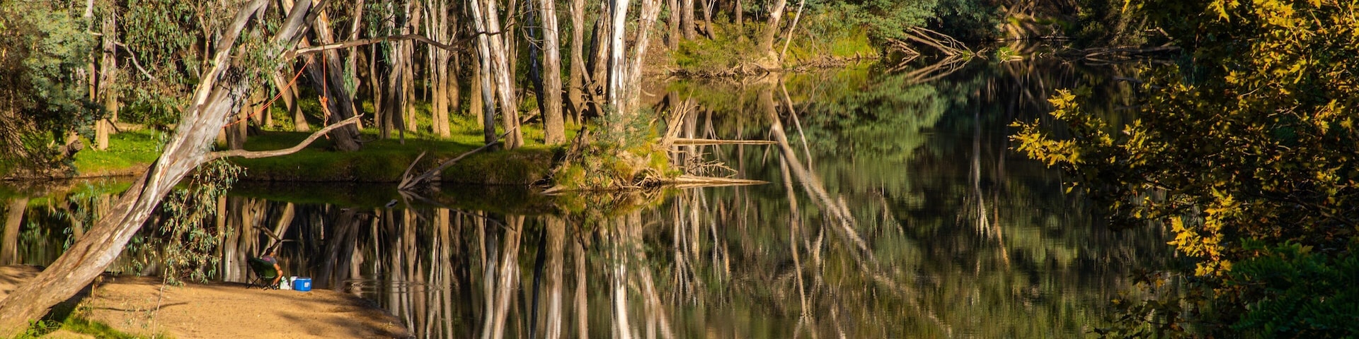 Wangaratta showing wetlands