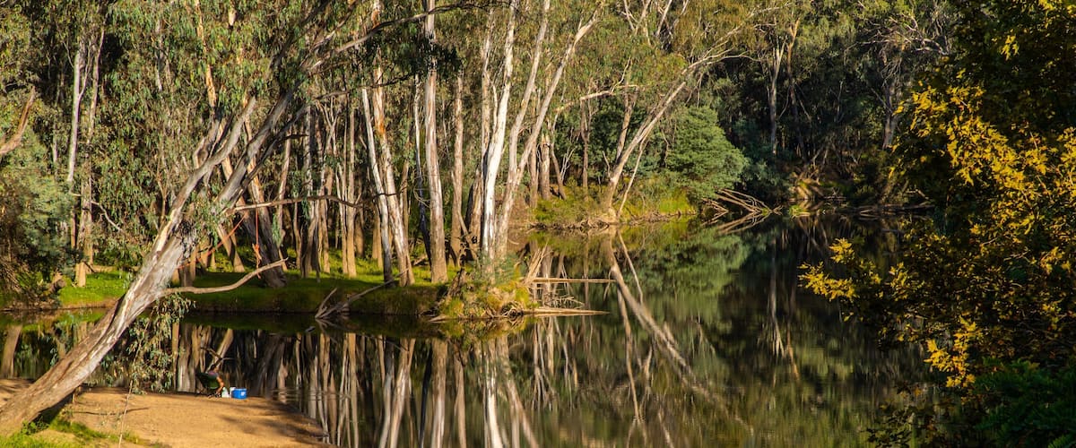 Wangaratta showing wetlands