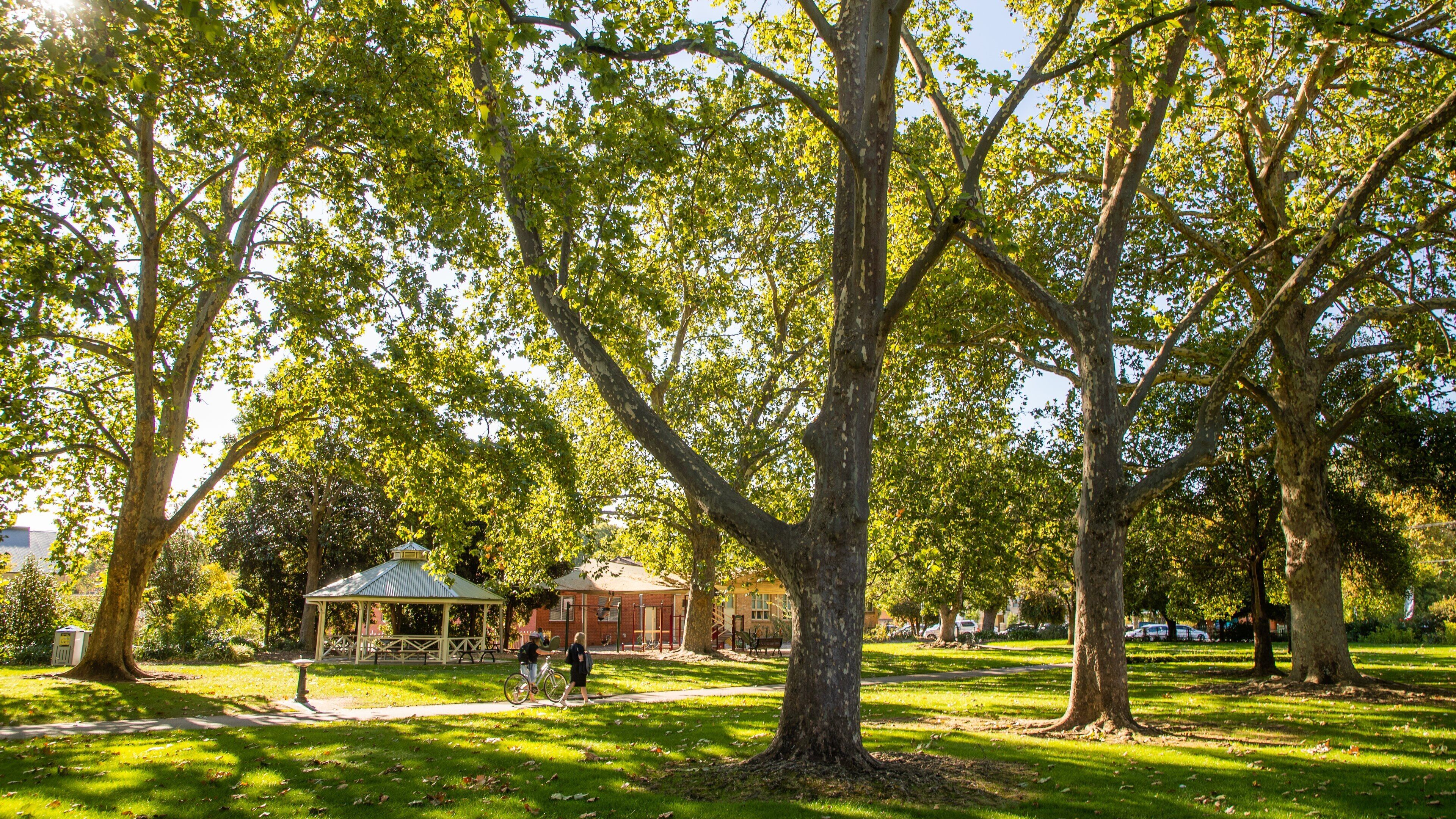 Wangaratta showing a park