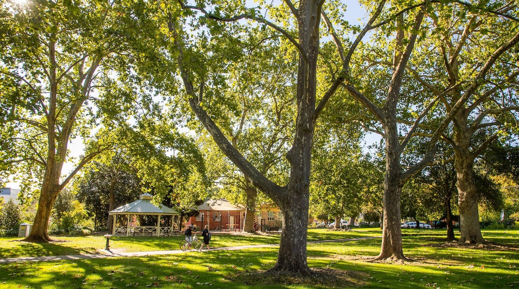 Wangaratta showing a park