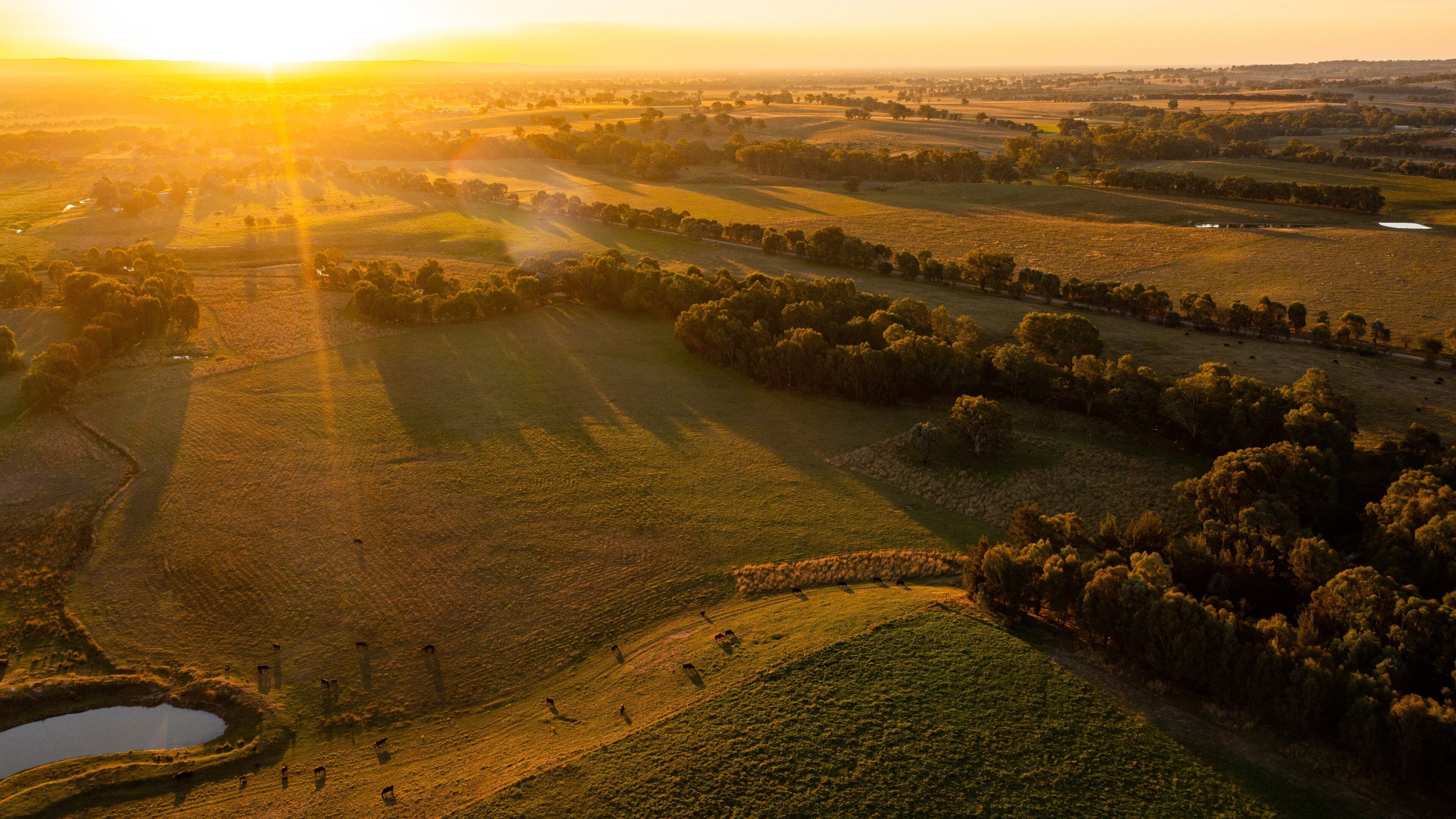 Wangaratta featuring landscape views, tranquil scenes and a sunset