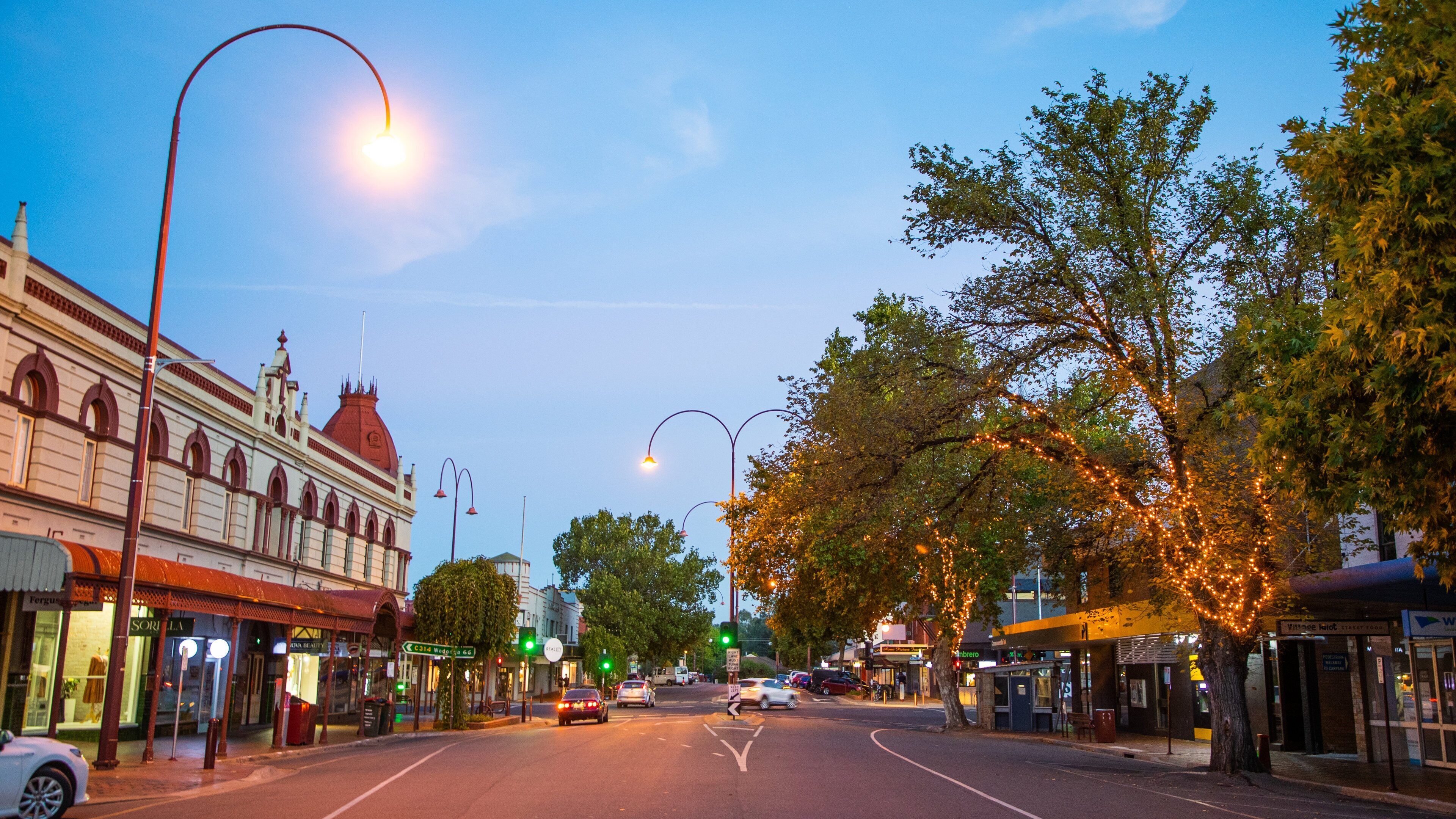 A street with buildings, trees, and streetlights.