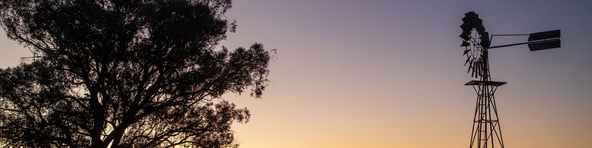 Wangaratta featuring a sunset and farmland