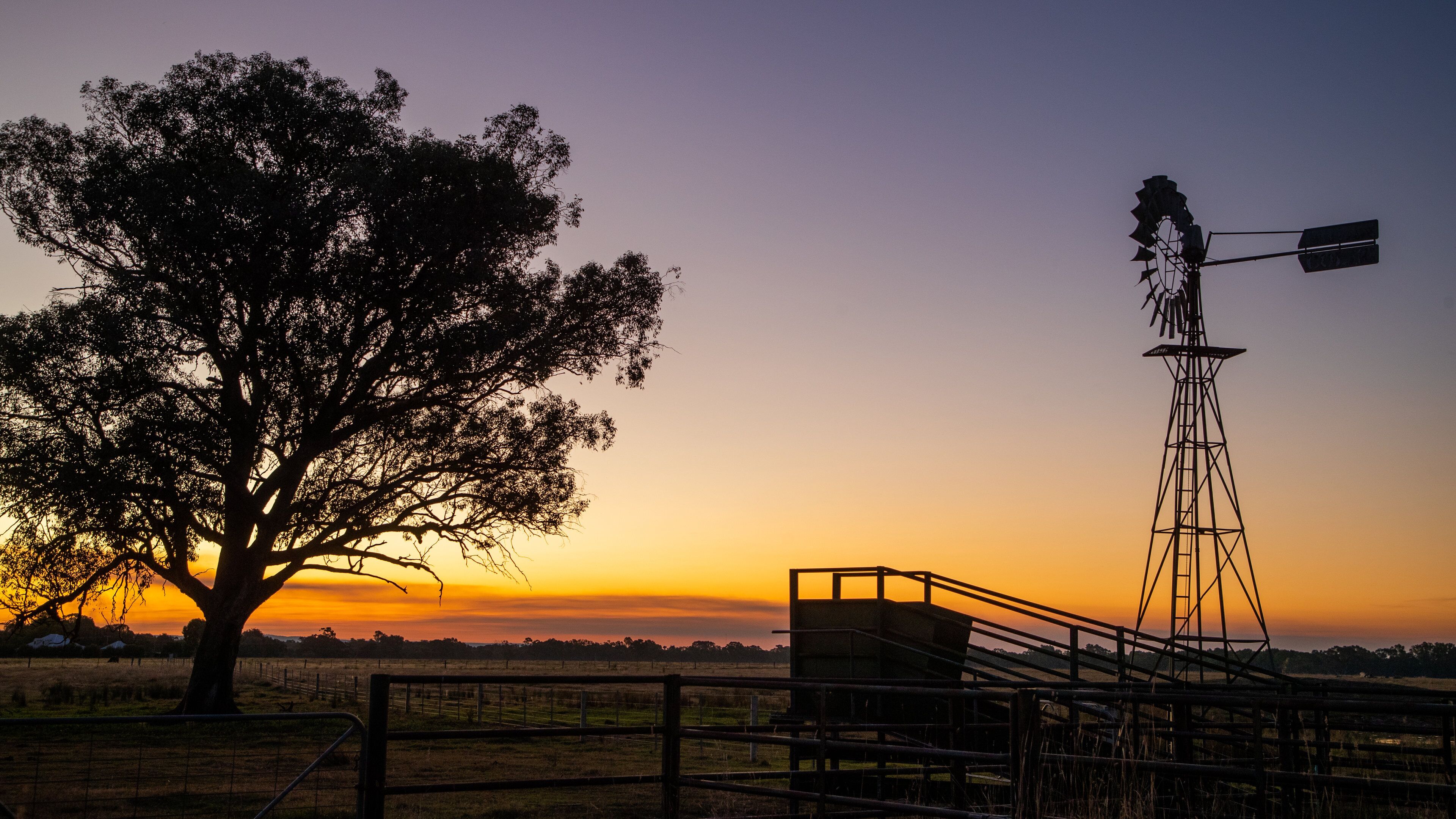 A sunset with a large tree and a windmill in a rural landscape.
