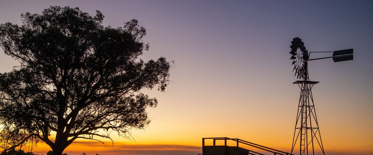 A sunset with a large tree and a windmill in a rural landscape.