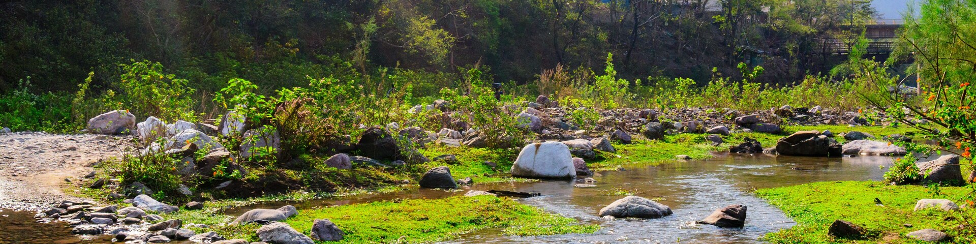 Un río con rocas y vegetación, rodeado de árboles y montañas.