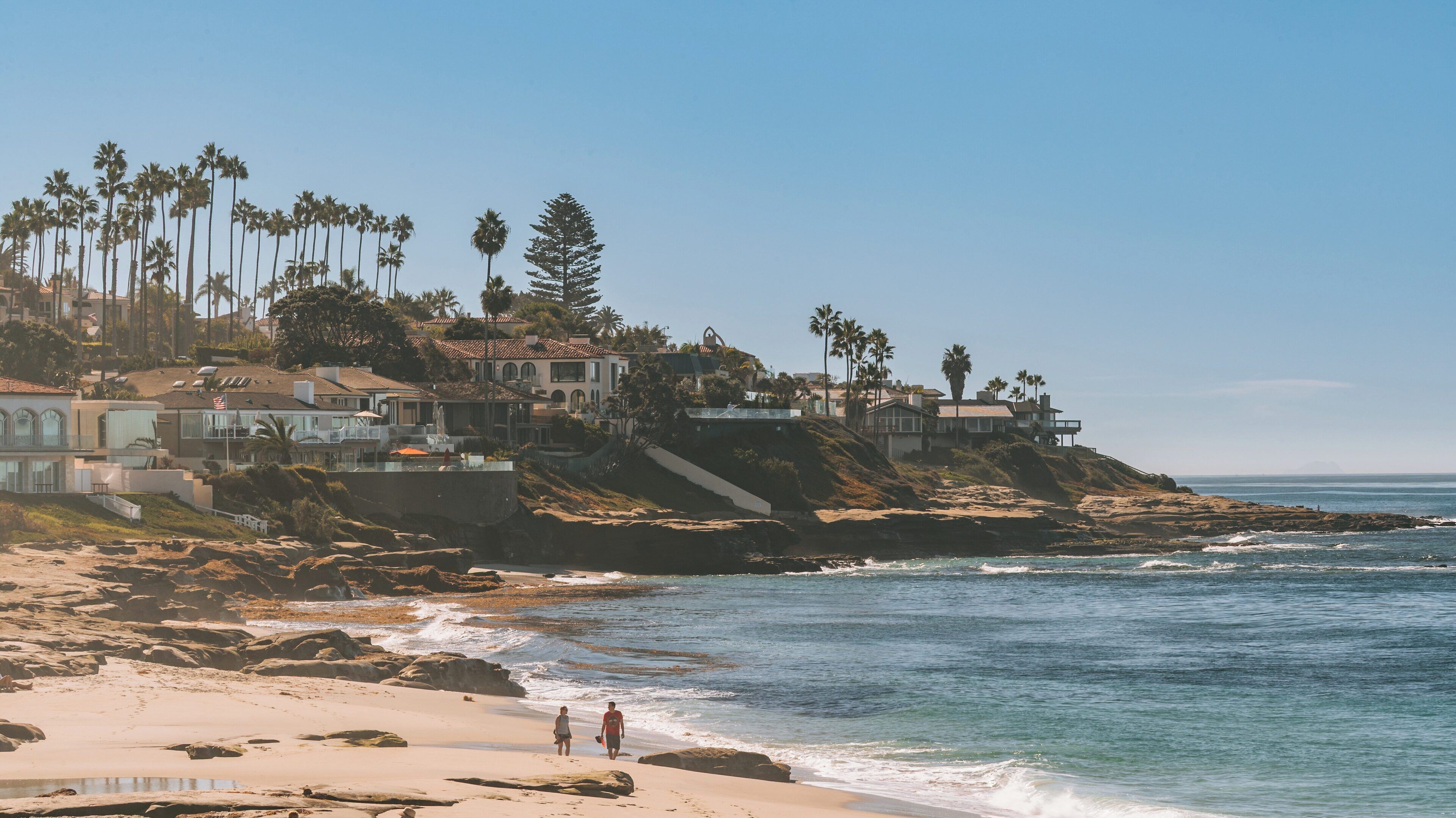Scenic view of Windansea Beach in La Jolla, California with palm trees and coastal homes under clear blue skies