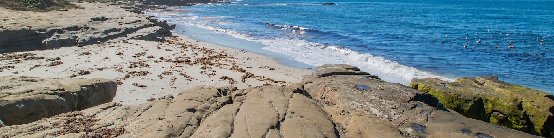Windansea Beach featuring a sandy beach, general coastal views and rugged coastline