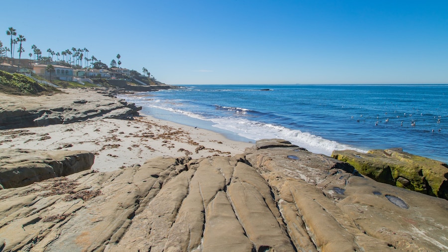 Windansea Beach featuring a sandy beach, general coastal views and rugged coastline