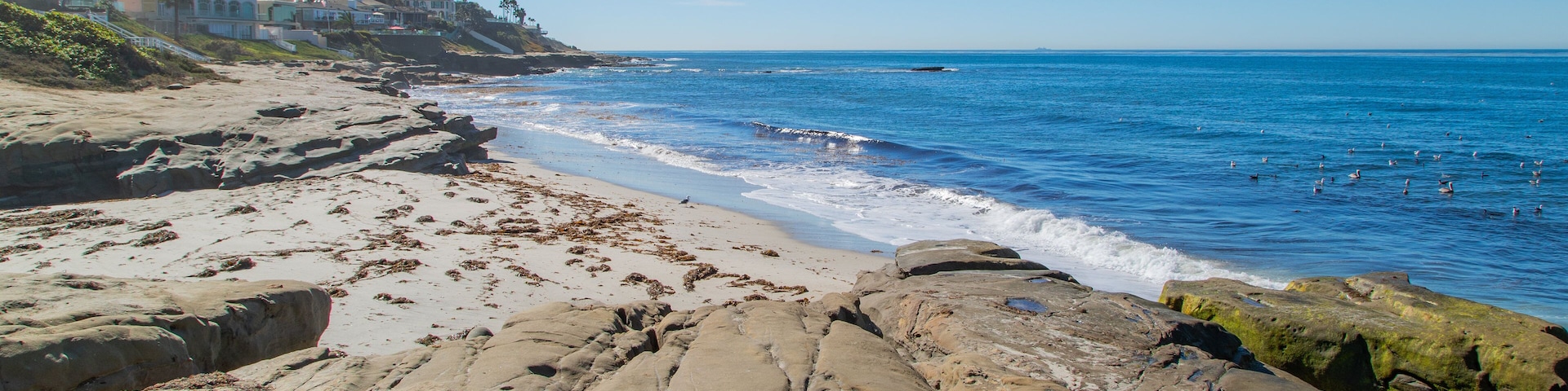 Windansea Beach featuring a sandy beach, general coastal views and rugged coastline