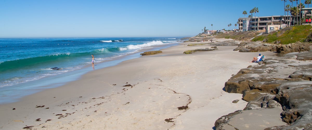 Windansea Beach showing a sandy beach and general coastal views
