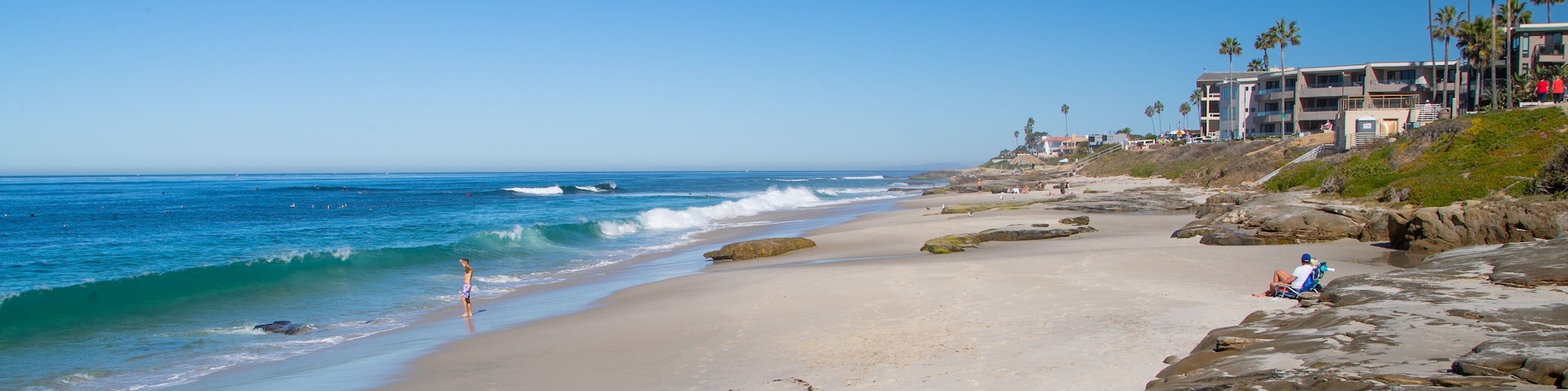 Windansea Beach showing a sandy beach and general coastal views