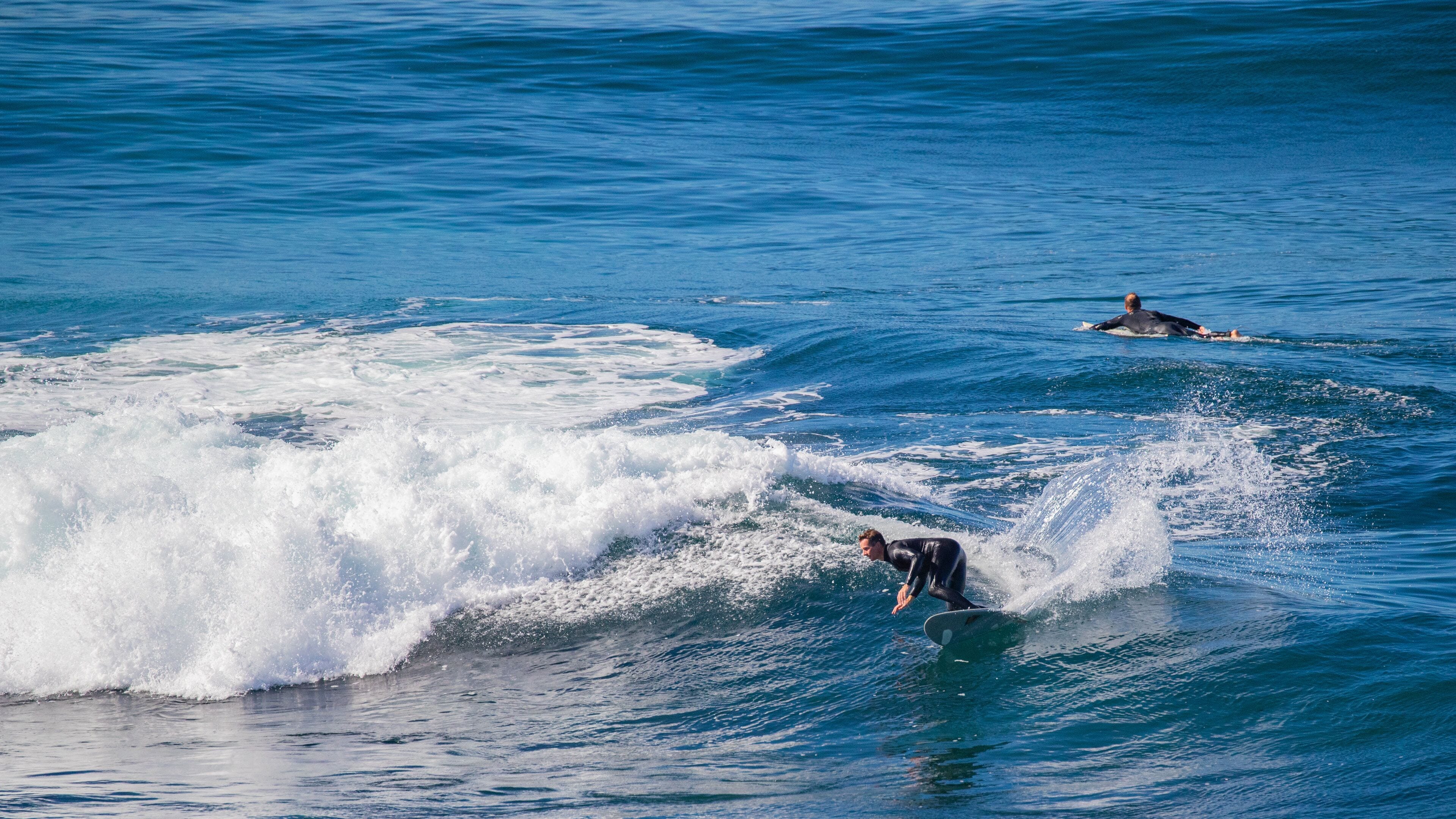 Windansea Beach showing surf, general coastal views and surfing