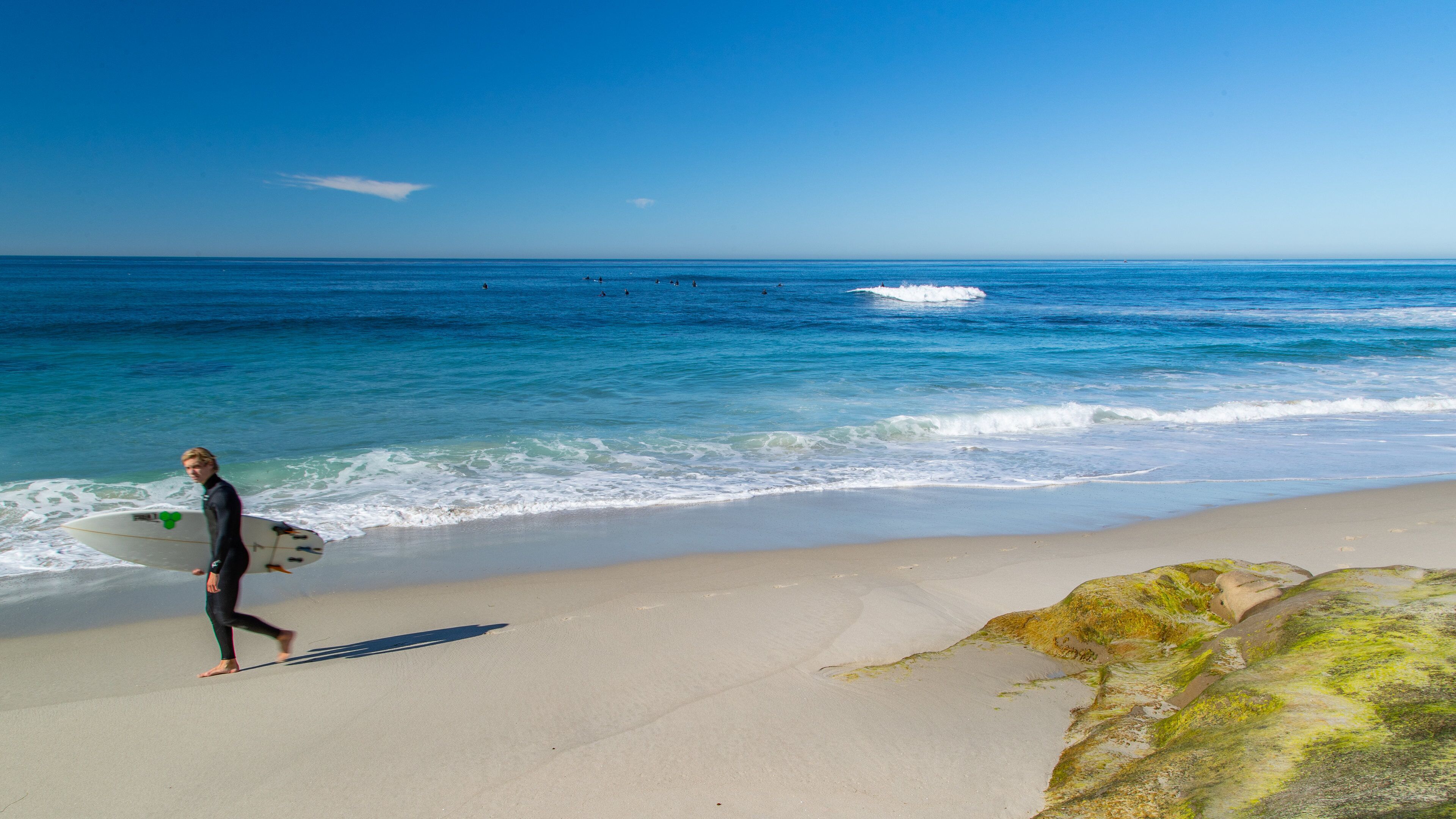 Windansea Beach featuring general coastal views, surfing and a sandy beach
