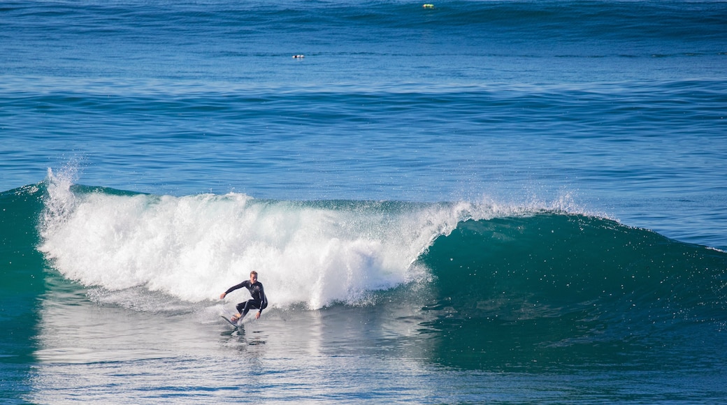 Windansea Beach which includes general coastal views, surf and surfing