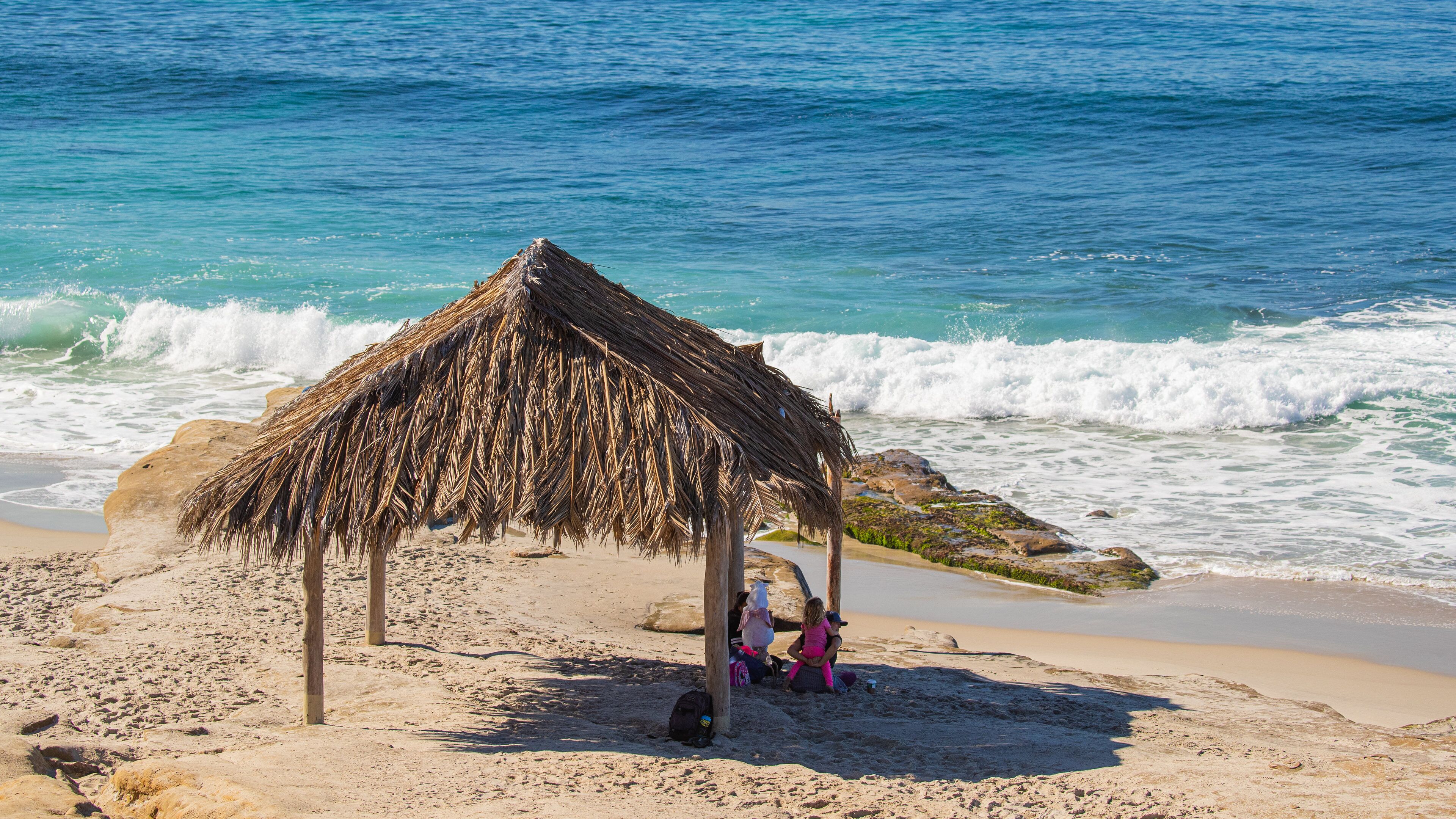Windansea Beach showing tropical scenes, a beach and general coastal views