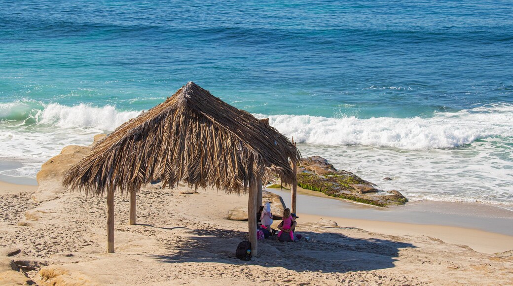 Windansea Beach showing tropical scenes, a beach and general coastal views