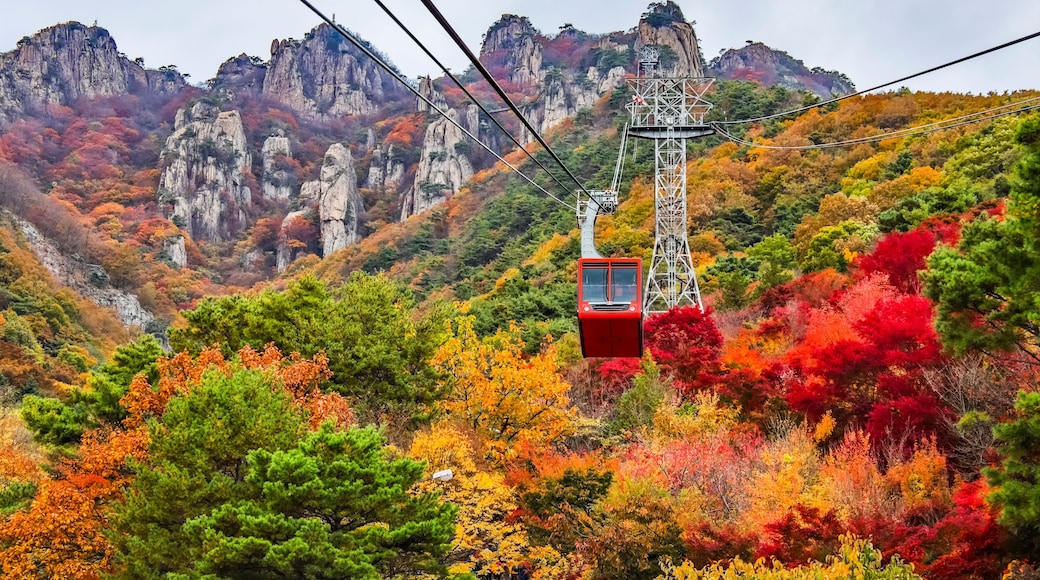 A cable car takes hikers and tourists up the mountain at Daedunsan Provincial Park, South Korea in autumn; Jeonbuk, Republic of Korea