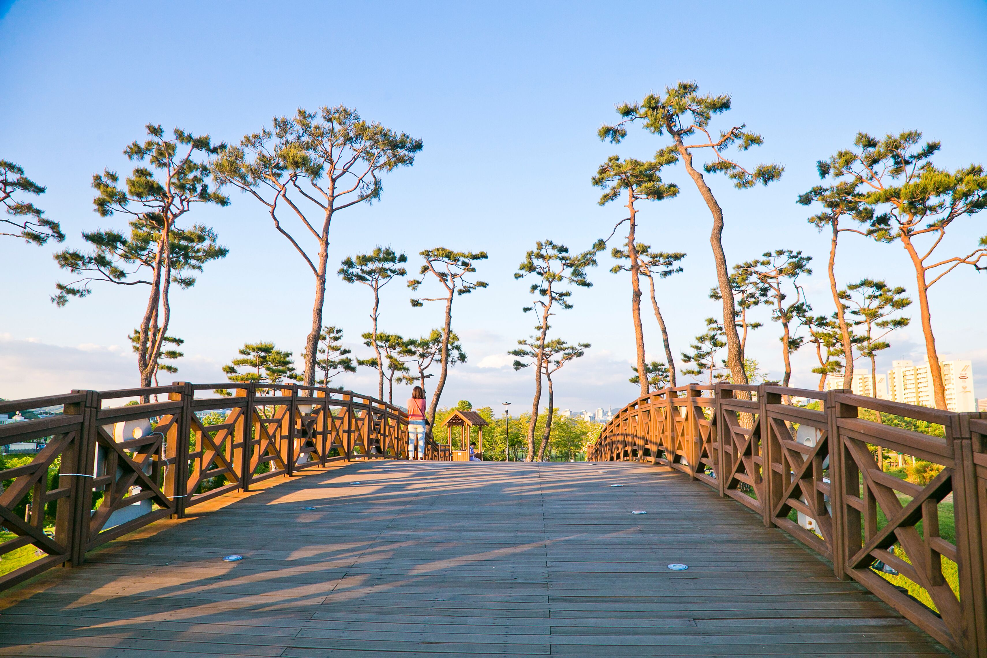 <h2>Los mejores alojamientos de lujo en Daejeon</h2> 