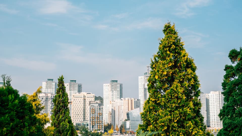 View of Hanbat Arboretum and modern buildings in Daejeon, Korea