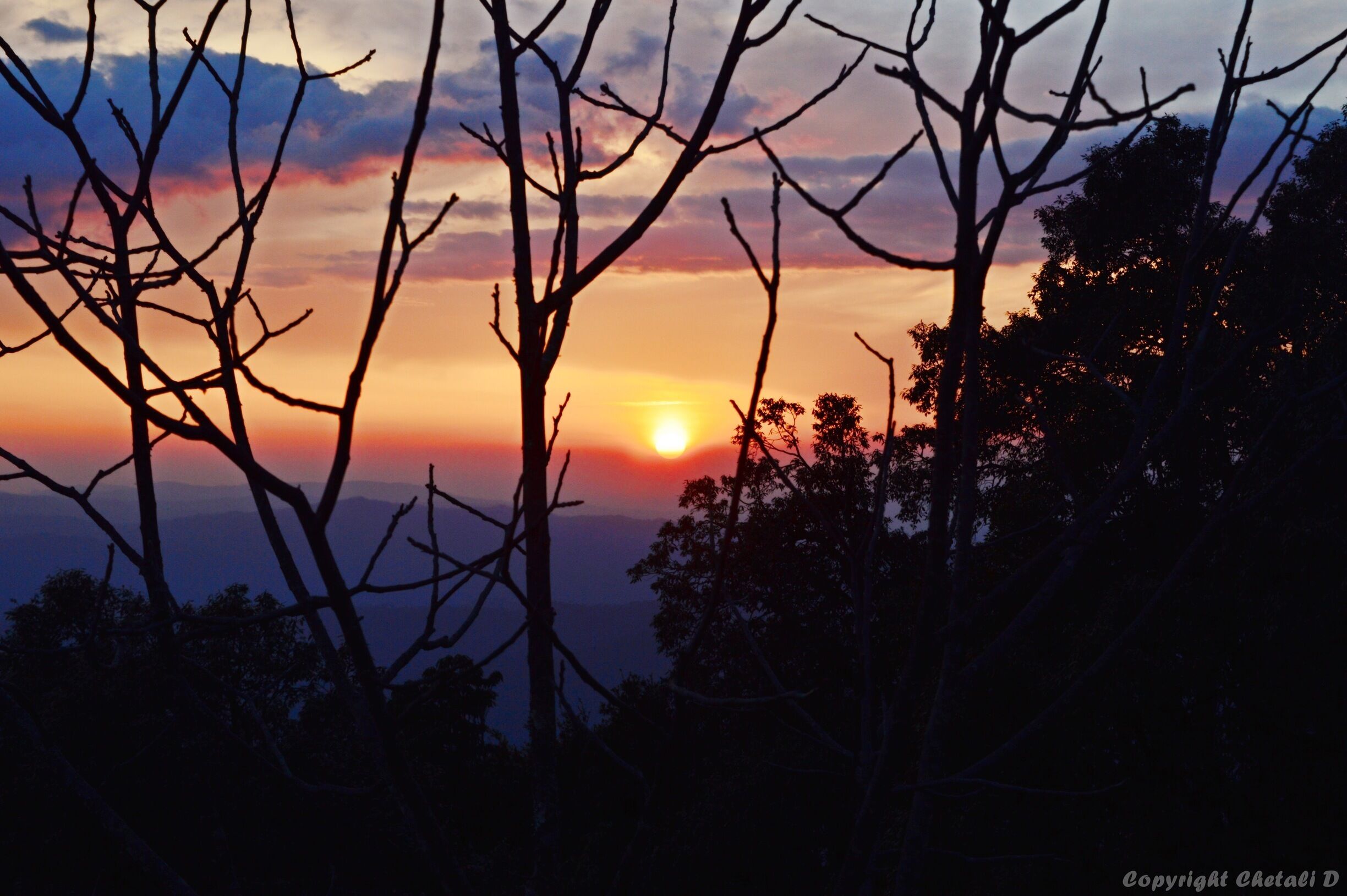 The most beautiful sunset I came across🌅at Binsar Uttarakhand.
It seemed God was painting the sky by it's own 'Magic Hands' and 'Magic Colors'. Shades of orange, pink, red, blue and violet took all over the sky. It was the most perfect time to capture the nature's art.

#magicalhour#sunset#skyline#binsar#uttarakhand#travelbazzinga#trover