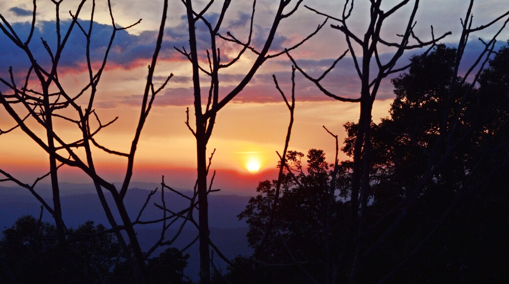 The most beautiful sunset I came across🌅at Binsar Uttarakhand.
It seemed God was painting the sky by it's own 'Magic Hands' and 'Magic Colors'. Shades of orange, pink, red, blue and violet took all over the sky. It was the most perfect time to capture the nature's art.
#magicalhour#sunset#skyline#binsar#uttarakhand#travelbazzinga#trover