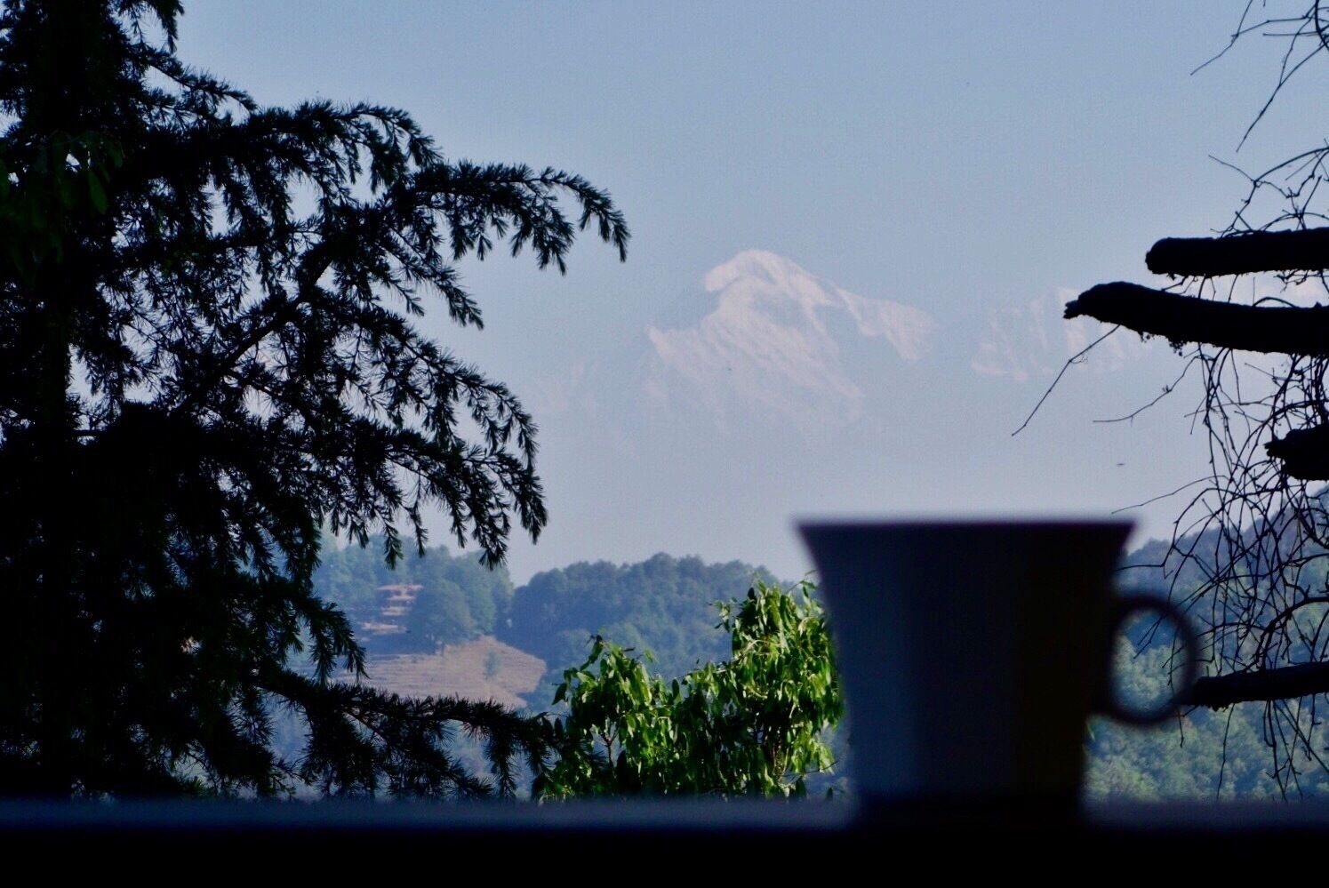 Happiness is waking up to the snow-capped Himalayas with a warm cup of tea, surrounded by nothing but dense forest and bird song. Grand Oak Manor is one of only 4 estates within Binsar Wildlife Sanctuary - powered by solar energy, produce sourced from their own organic farm, and a trekking and homestay program that is inclusive of the local community in Binsar. A worthwhile splurge. 