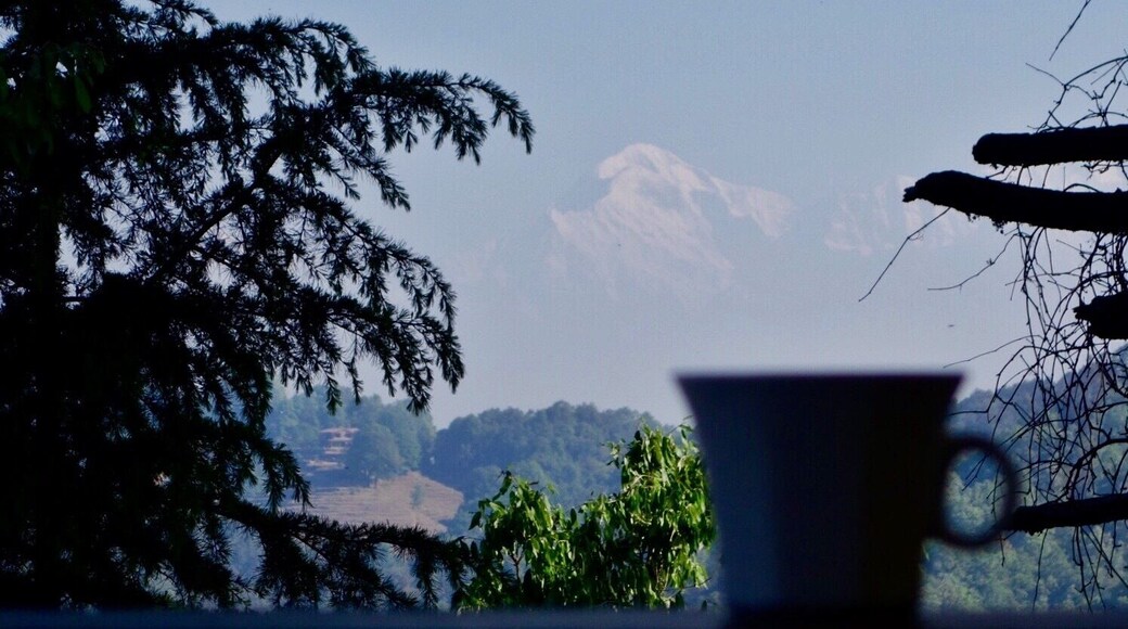 Happiness is waking up to the snow-capped Himalayas with a warm cup of tea, surrounded by nothing but dense forest and bird song. Grand Oak Manor is one of only 4 estates within Binsar Wildlife Sanctuary - powered by solar energy, produce sourced from their own organic farm, and a trekking and homestay program that is inclusive of the local community in Binsar. A worthwhile splurge.
