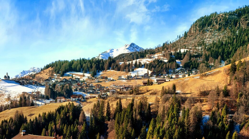 塞爾瓦迪卡多雷