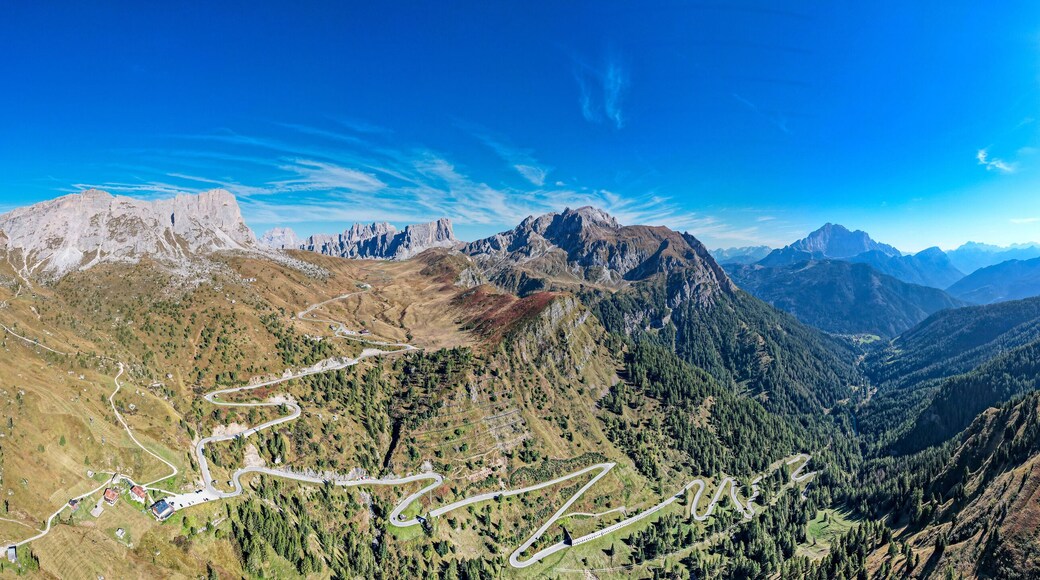 塞爾瓦迪卡多雷