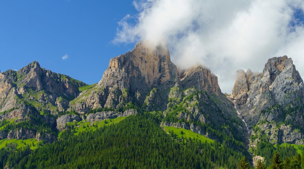 塞爾瓦迪卡多雷