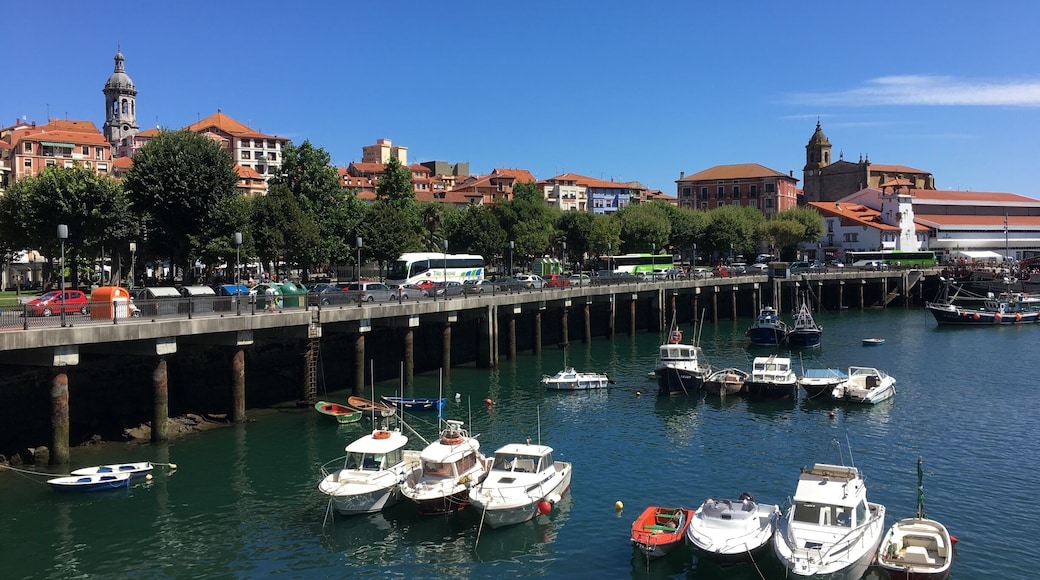 Seafront, Bermeo