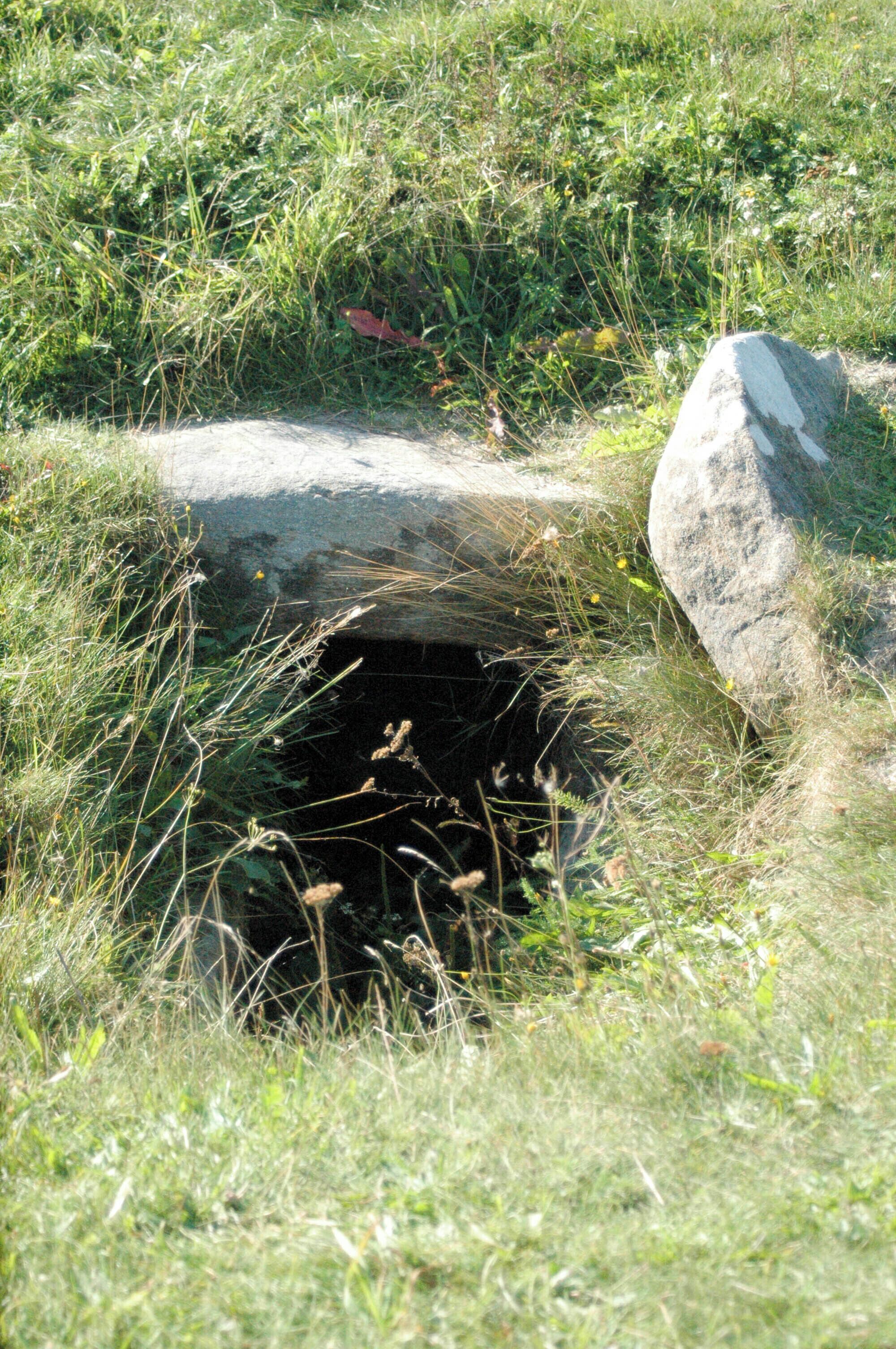 Megalithgrab Sunberig,Utersum,Föhr,Nordfriesland