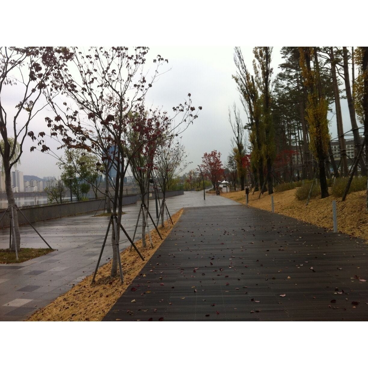 good place to take a walk 