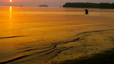 Goa,India is the popular destination for beaches but bordering right next to it the little hidden gem called Karwar is the most amazing place to stroll endless empty beaches and for those who want to experience spectacular Sunsets!!
#tbt
#colorful
#wanderlust
#goldenhour