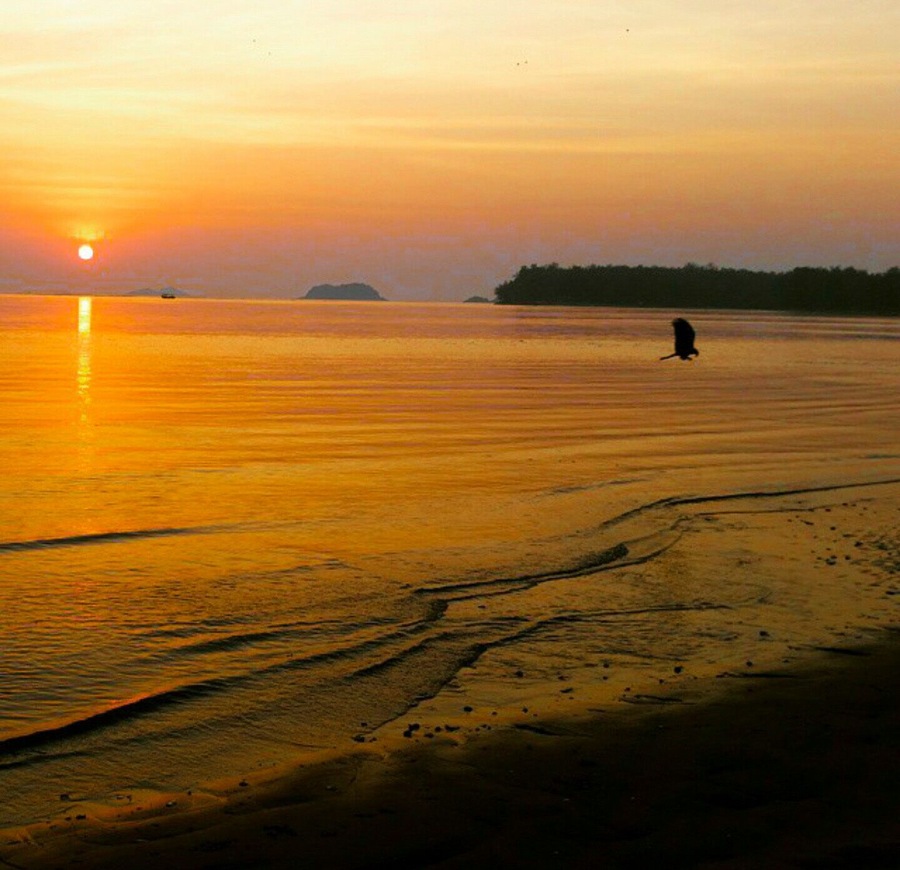 Goa,India is the popular destination for beaches but bordering right next to it the little hidden gem called Karwar is the most amazing place to stroll endless empty beaches and for those who want to experience spectacular Sunsets!!
#tbt
#colorful
#wanderlust
#goldenhour