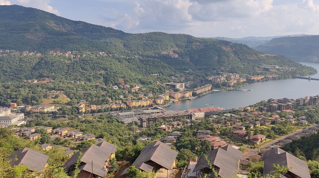 view from the top of the hill