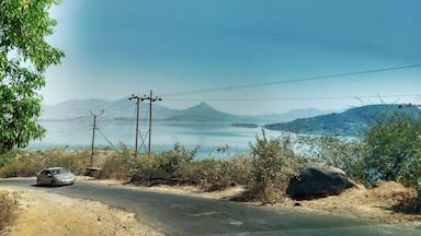 #green #photooftheday #scenery