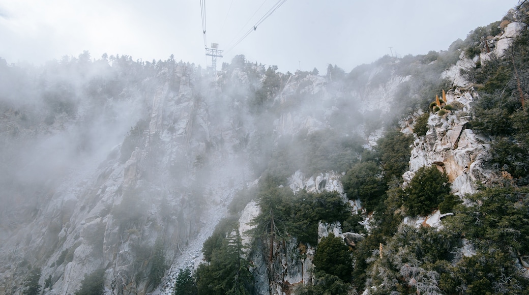 Palm Springs Aerial Tramway featuring mountains, mist or fog and a gondola
