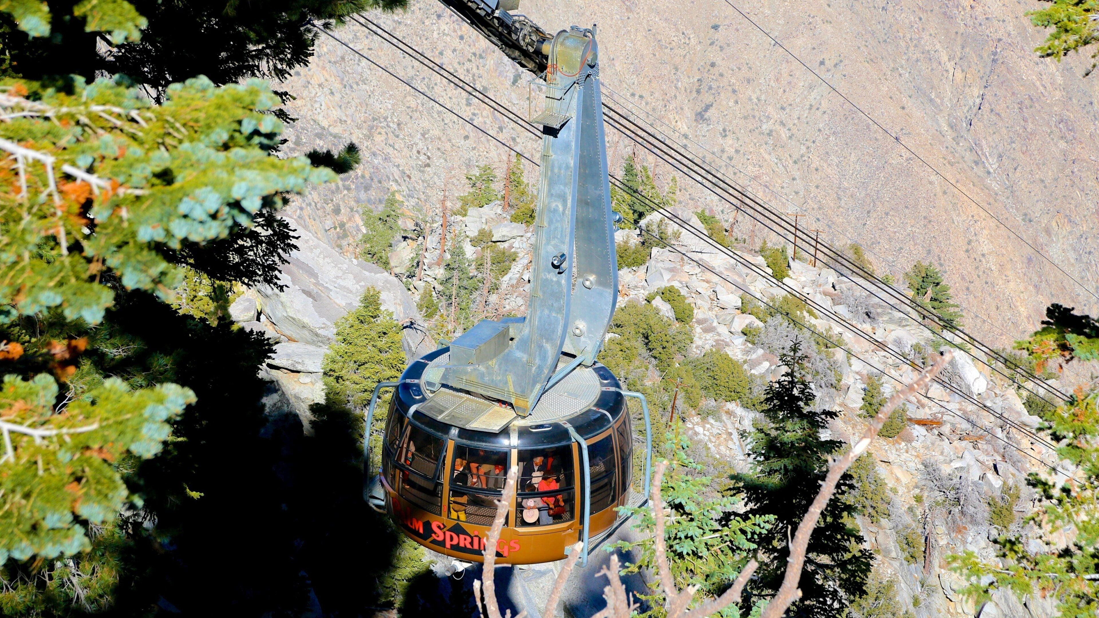 Palm Springs Aerial Tramway which includes a gondola