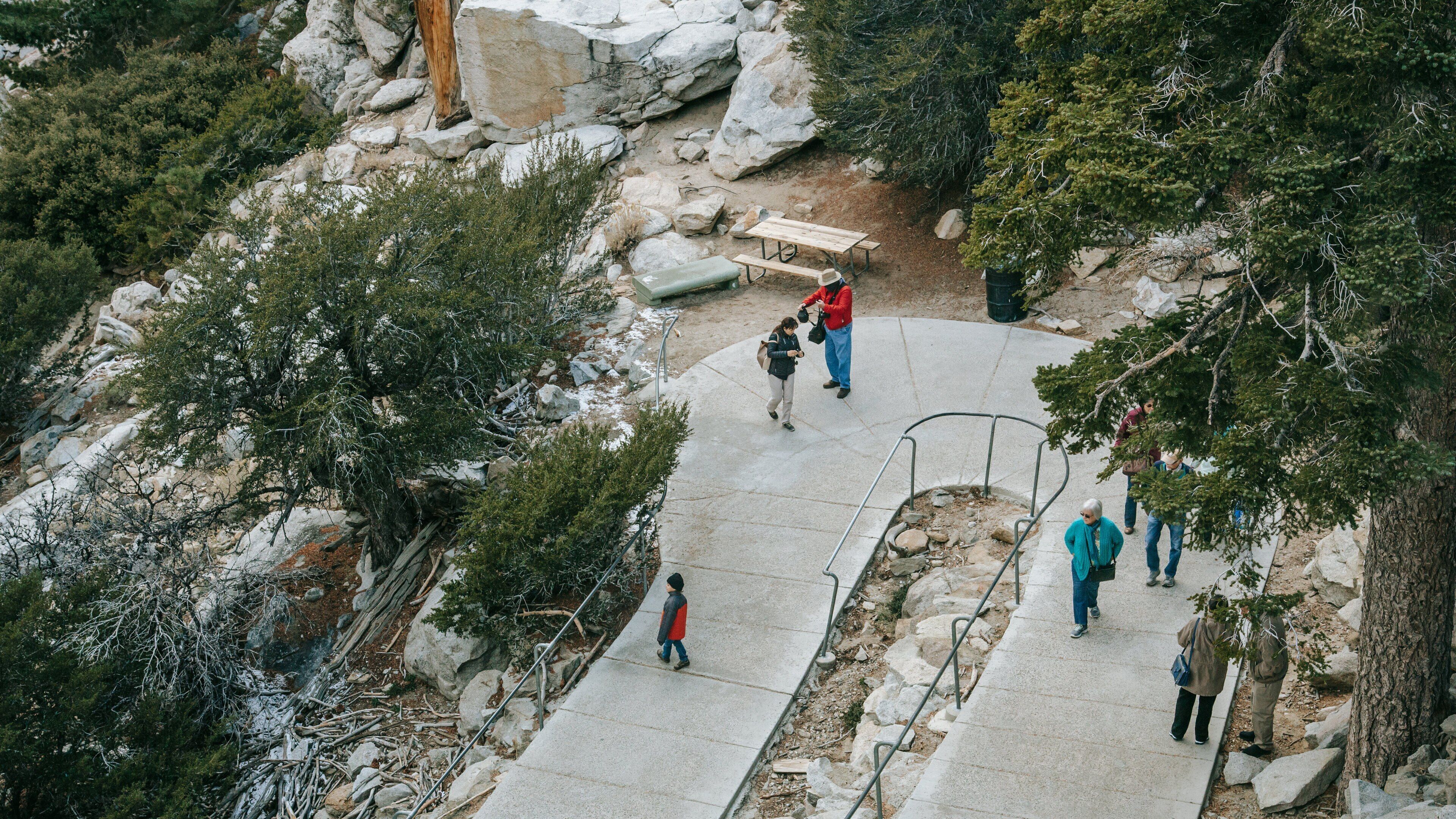 Palm Springs Aerial Tramway featuring a park