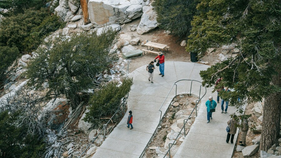 Palm Springs Aerial Tramway featuring a park