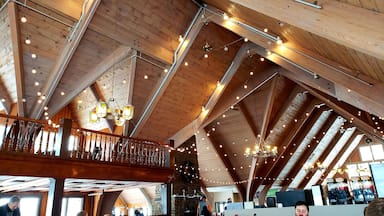 The food in the main ski lodge is surprisingly good. Always a vegetarian choice available. Good place to take a break.